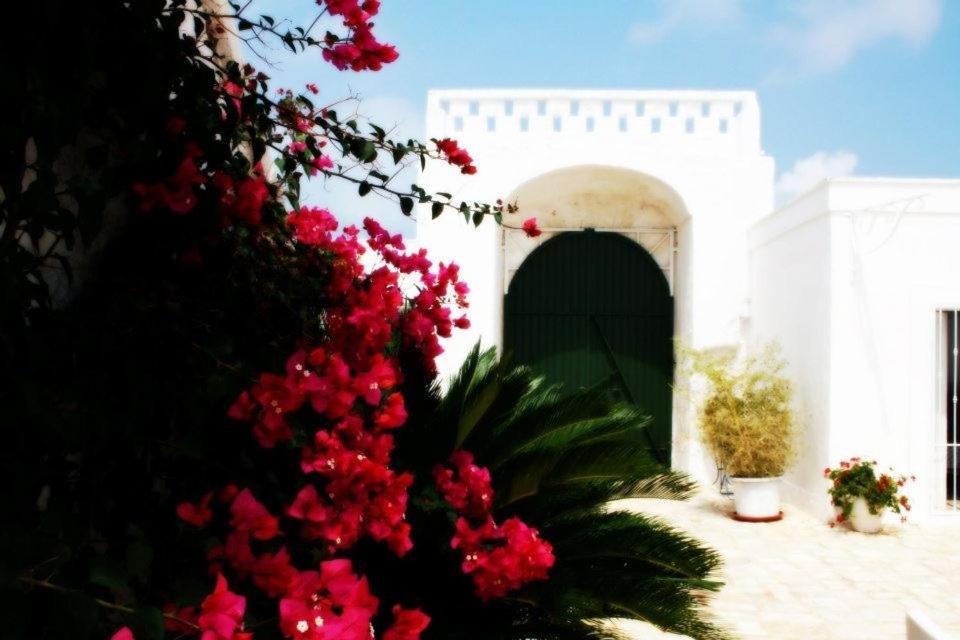 Bed and Breakfast Masseria Boezio Ostuni Torre Santa Sabina Exteriér fotografie